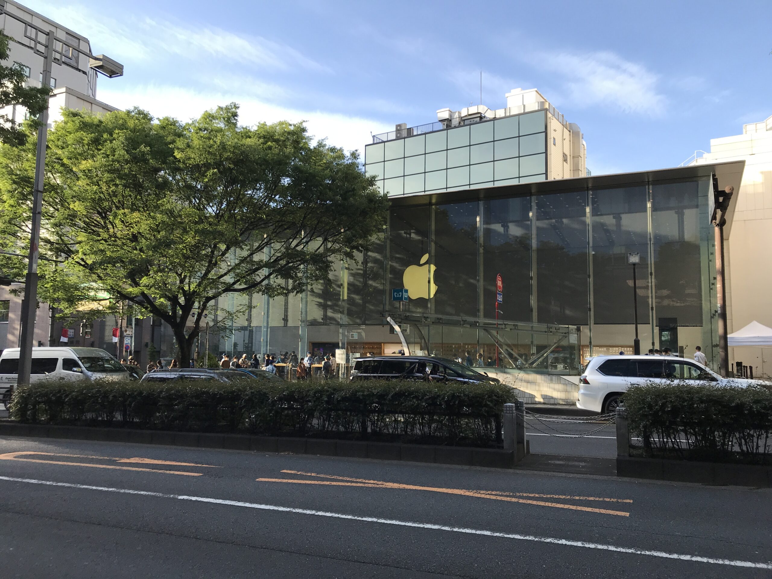 ボーリン・シウィンスキー・ジャクソン「Apple Store 表参道」ケヤキ並木の前に建つ海外建築設計事務所によるガラスファサードのApple旗艦店